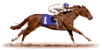 horse racing software,system