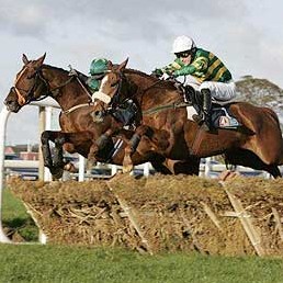 Handicap software,horse race software